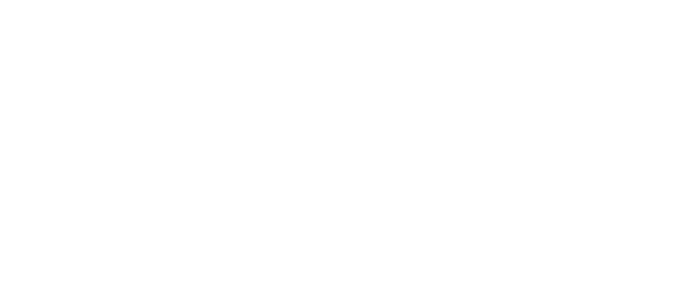 Chameleon Technology Partners logo